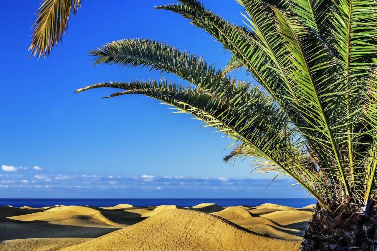 San Agustín Las Adelfas South Beach 1 By Canariasgetaway מראה חיצוני תמונה